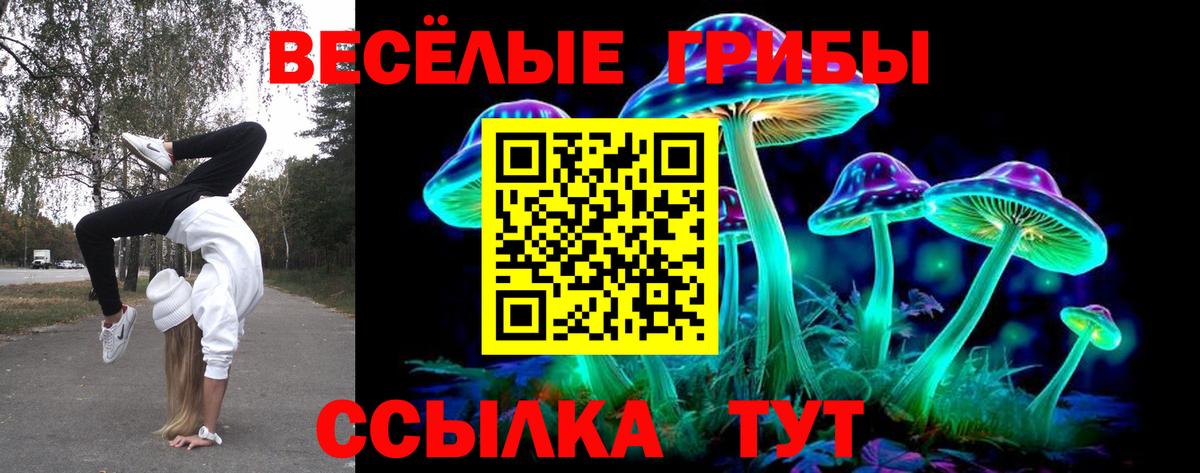 Галлюциногенные грибы Magic Shrooms Семилуки